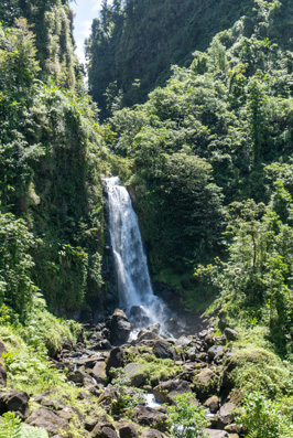 Trafalgar Falls (B), Waterfalls, 2022 Dominica
