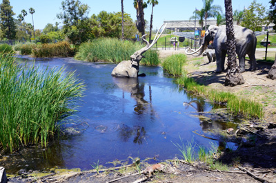 Tar Lake, with model mammoths for verisimilitude, La Brea Tar Pits, California 2023