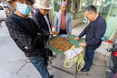 Caterpillar Fungus traders, Around Lhasa, Tibet 2023