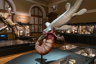 Imaginary Mesozoic encounter, Prague: National Museum, Czechia, December 2023