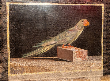 (Heavily Restored) mosaic parrot, Berlin: Pergamon Panorama, Germany, November 2023