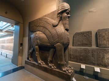 Lamassu #1R.  Winged Lion, British Museum: Six Lamassu, London, November 2023