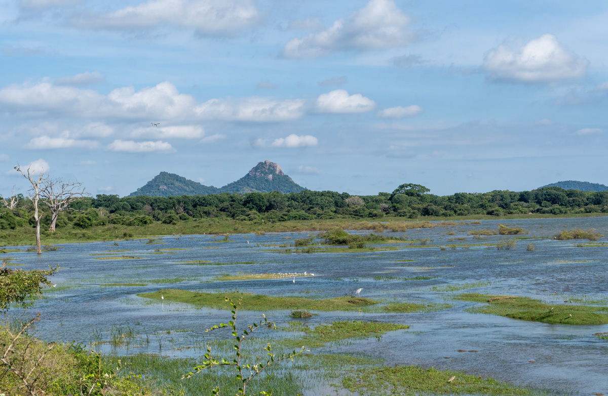 Lunugamvehera NP
