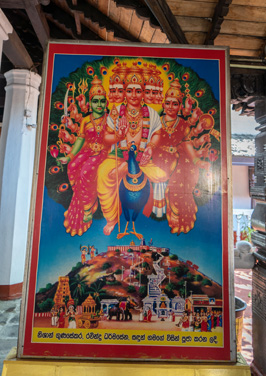 Kataragama (aka Murugan) rides a Peacock, Around Kandy, 2023 Sri Lanka++