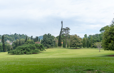 Kandy Botanic Gardens, 2023 Sri Lanka++