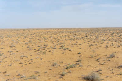 View from train, ~20 miles East of Urgench, Around Khiva, Uzbekistan 2023