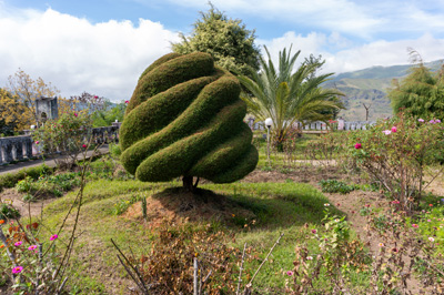 Striking Topiary, Maubisse Tour, East Timor, 2024