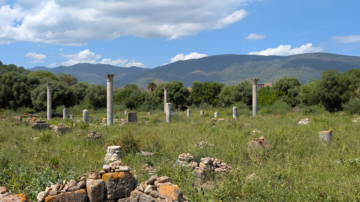 Hippo Regius Ruins