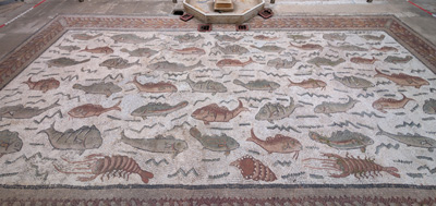 Fishy Mosaic, Algiers: Museum of Antiquities, 2025 Algeria++