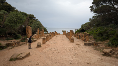 Tipaza, 2025 Algeria++