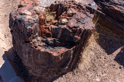 Petrified Forest National Park., Arizona++&nbsp;&nbsp; March 2025