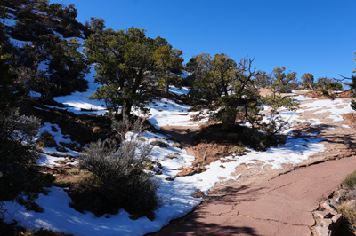 Still chilly in the Mountains, Navajo National Monument, Arizona++&nbsp;&nbsp; March 2025