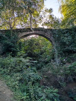 French-era foot bridge, Bois Caiman, Haiti, December 2025