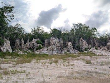 Nauru: Limestone Landscape, 2026 Pacific Islands, Part 2