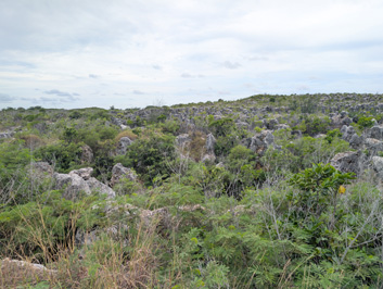 Nauru: Limestone Landscape, 2026 Pacific Islands, Part 2