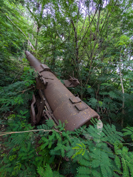 Japanese 150 mm Gun #1, Nauru: Japanese WWII 150 mm Guns, 2026 Pacific Islands, Part 2