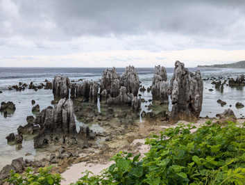 Limestone (or coral?) pinnacles, Around Nauru, 2026 Pacific Islands, Part 2
