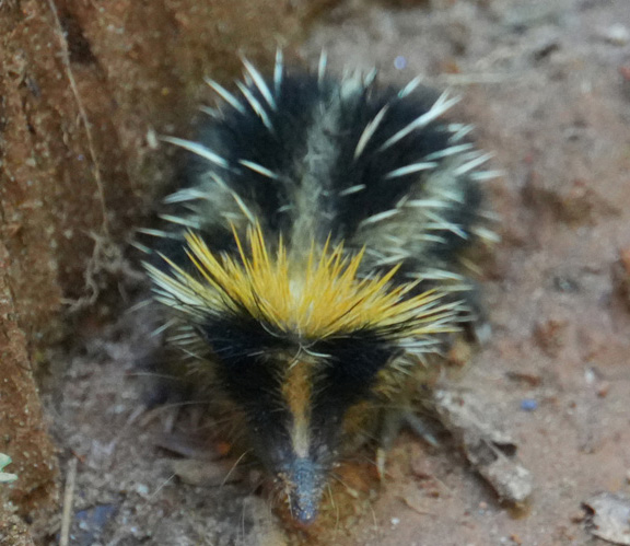 Madagascar photos